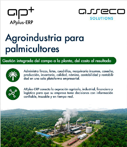Brochure Palma